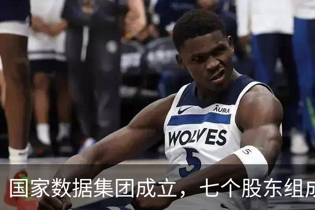 国家数据集团成立，七个股东组成天团